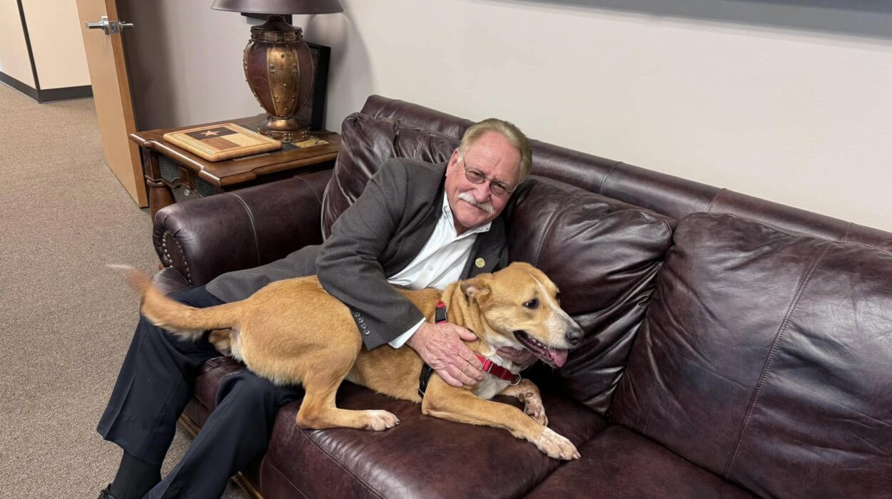 Judge Mark Keough holding a shelter dog in his office before commissioner's court.