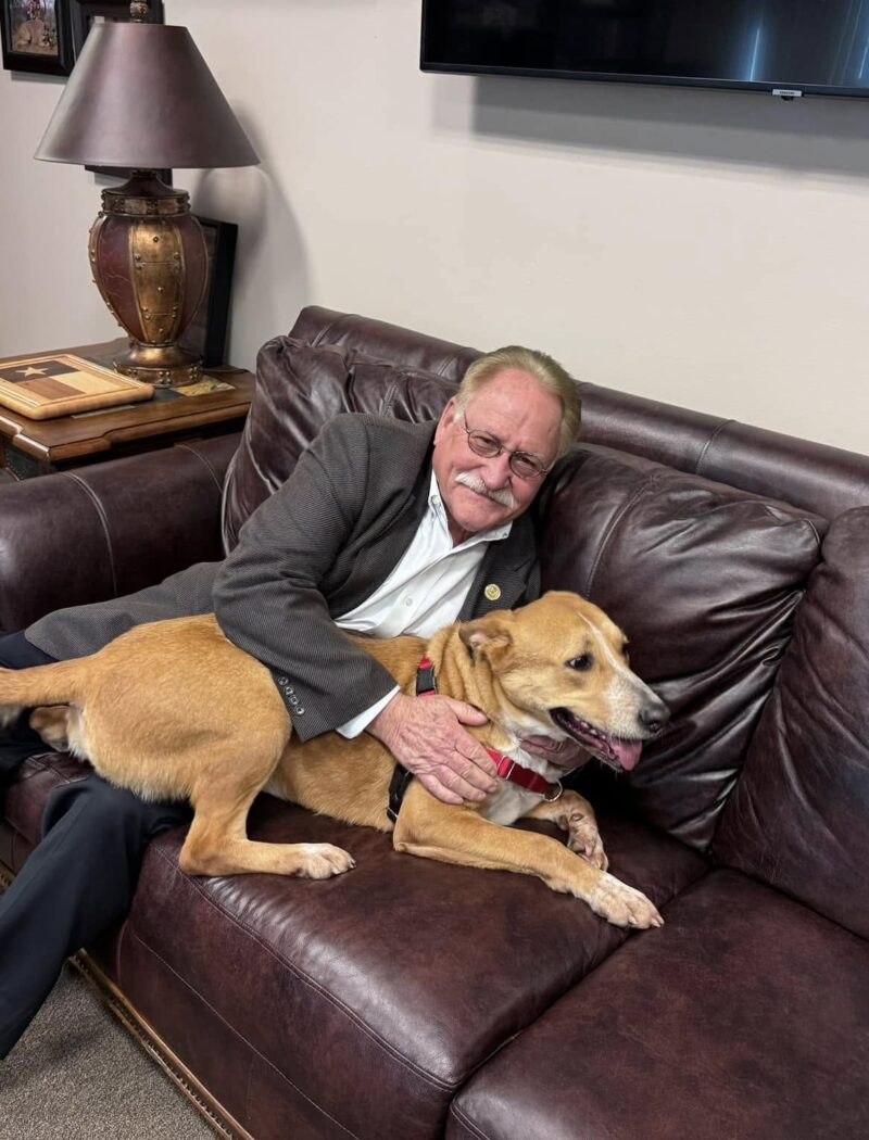 Judge Mark Keough holding a shelter dog in his office before commissioner's court.